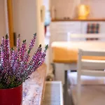 Dream - Bright 2-bedroom 2-floor Old Town Lägenhet *