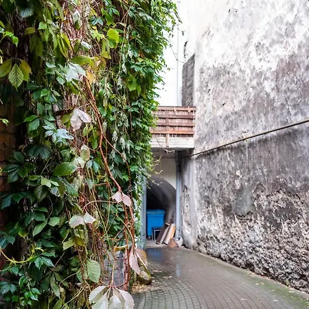 Dream - Bright 2-bedroom 2-floor Old Town Apartment