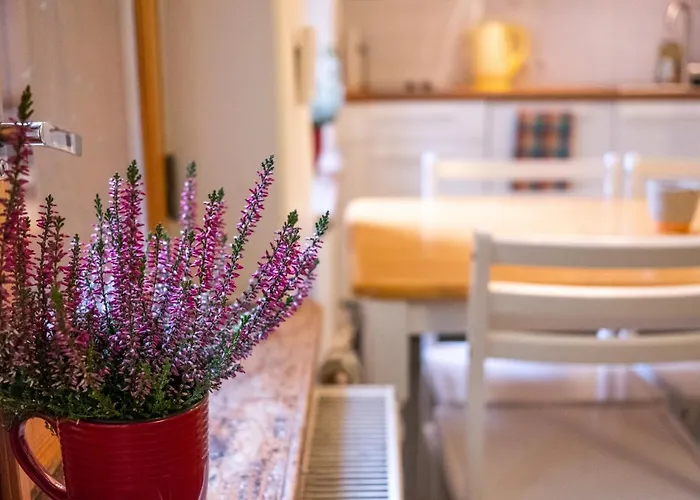 Dream - Bright 2-bedroom 2-floor Old Town Apartment *