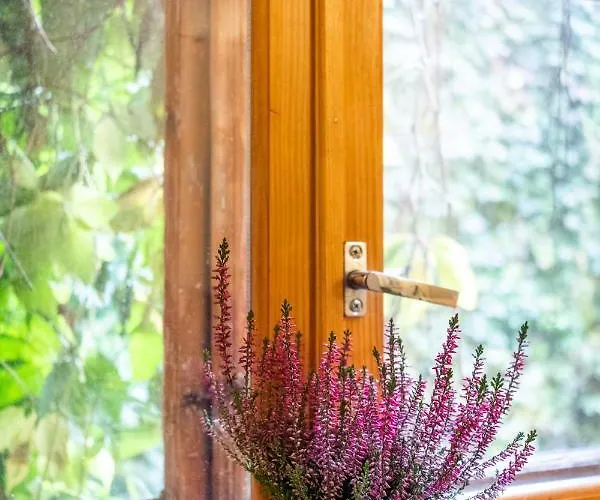 Dream - Bright 2-bedroom 2-floor Old Town