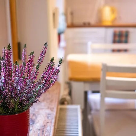 Dream - Bright 2-bedroom 2-floor Old Town Apartman *